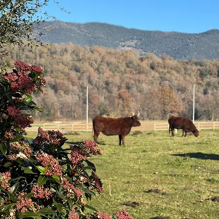 Masia Quelet * La Vall de Bianya